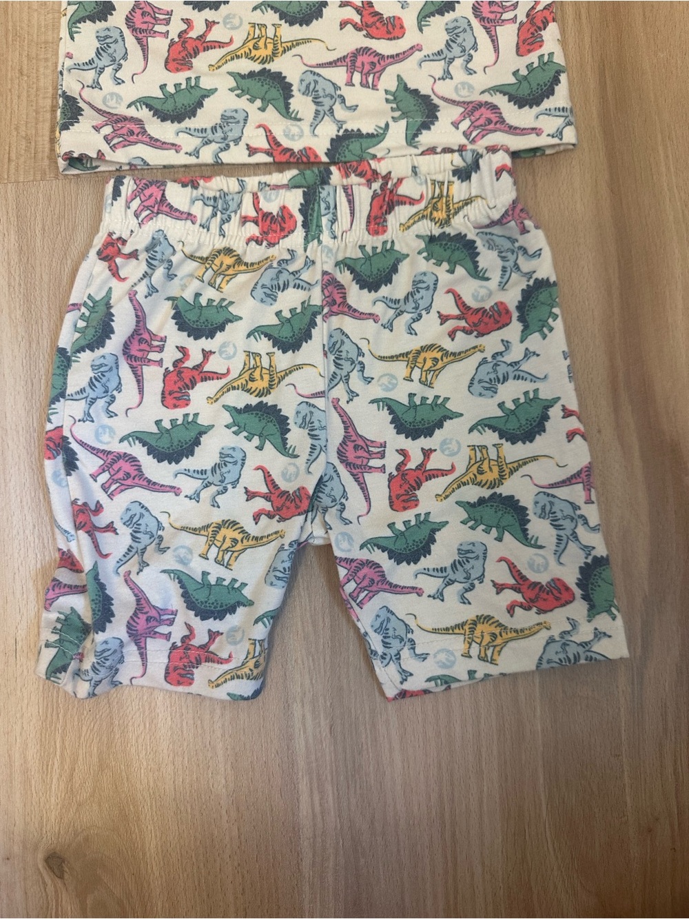 Copper Pearl Jurassic Park Kids Dinosaur Pajama Set - Multicolor Dino Print - Picture 3 of 6